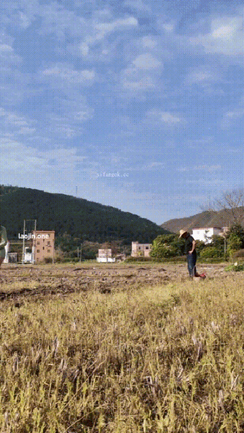 绿色毛衣乡村_p80.gif