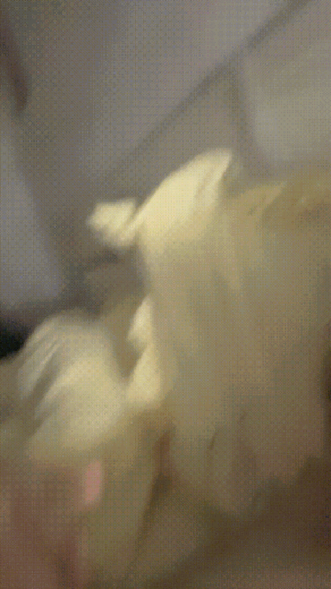 VID_20231004_235649_327_p60.gif