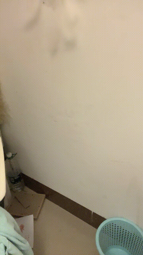 VID_20230921_181542_111_p5.gif