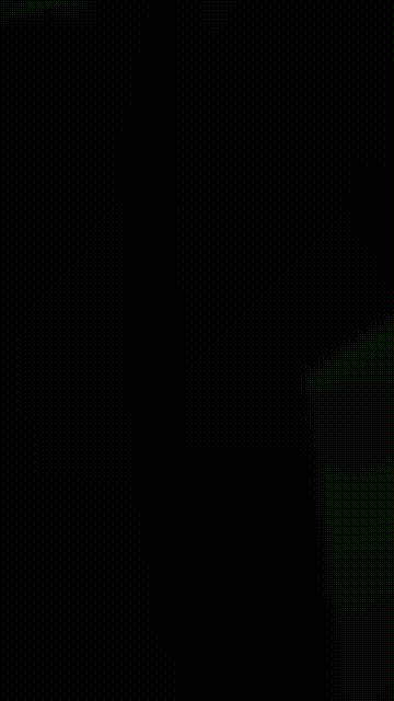 0 (2).gif