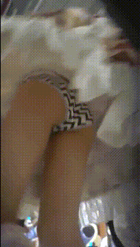 g1008.gif