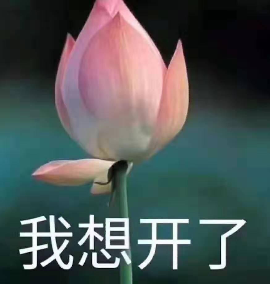 1762a5dd5f86e2cf6688f5a0c5ee511b.jpeg