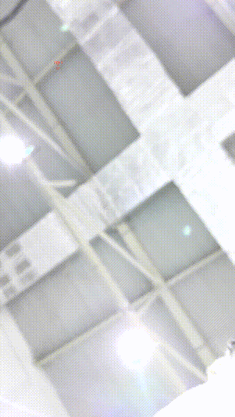 p6g4cl.gif
