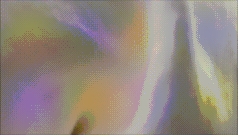 Bossy Step Sisters Use My Cock - Riley Star x Madison Blaze - Family Therapy - A.gif