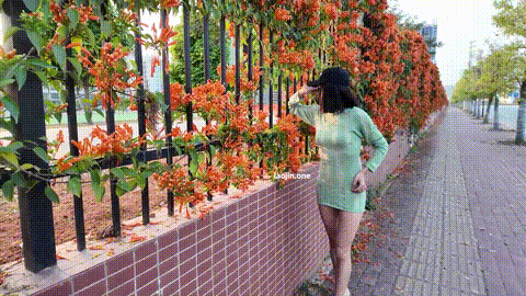 绿色毛衣逛街_p60.gif