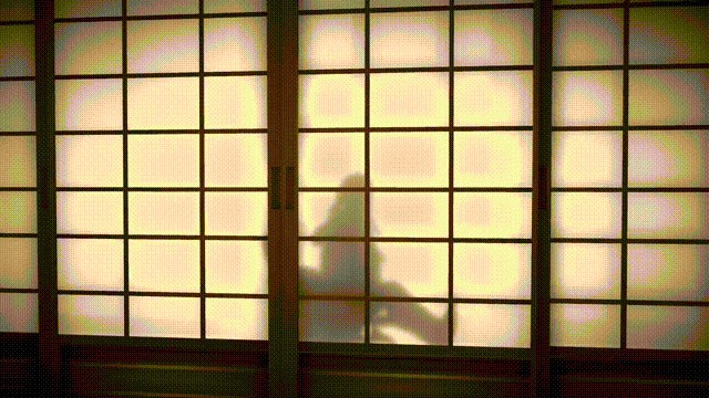 1 (4).gif