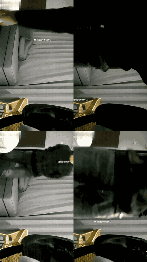 91655213_赵探花_11_18_11_19_preview_2_compressed.gif