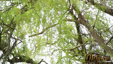 Easter Bunny Victoria Benz Harry River l Oldje 50 Off Now!_p5_compressed.gif