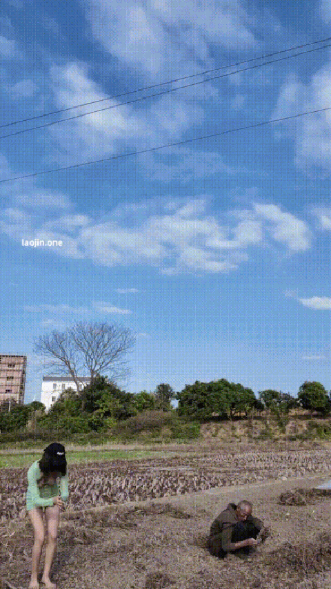 绿色毛衣乡村_p60.gif