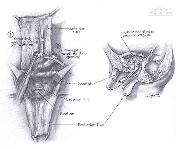 SRSFig8.jpg