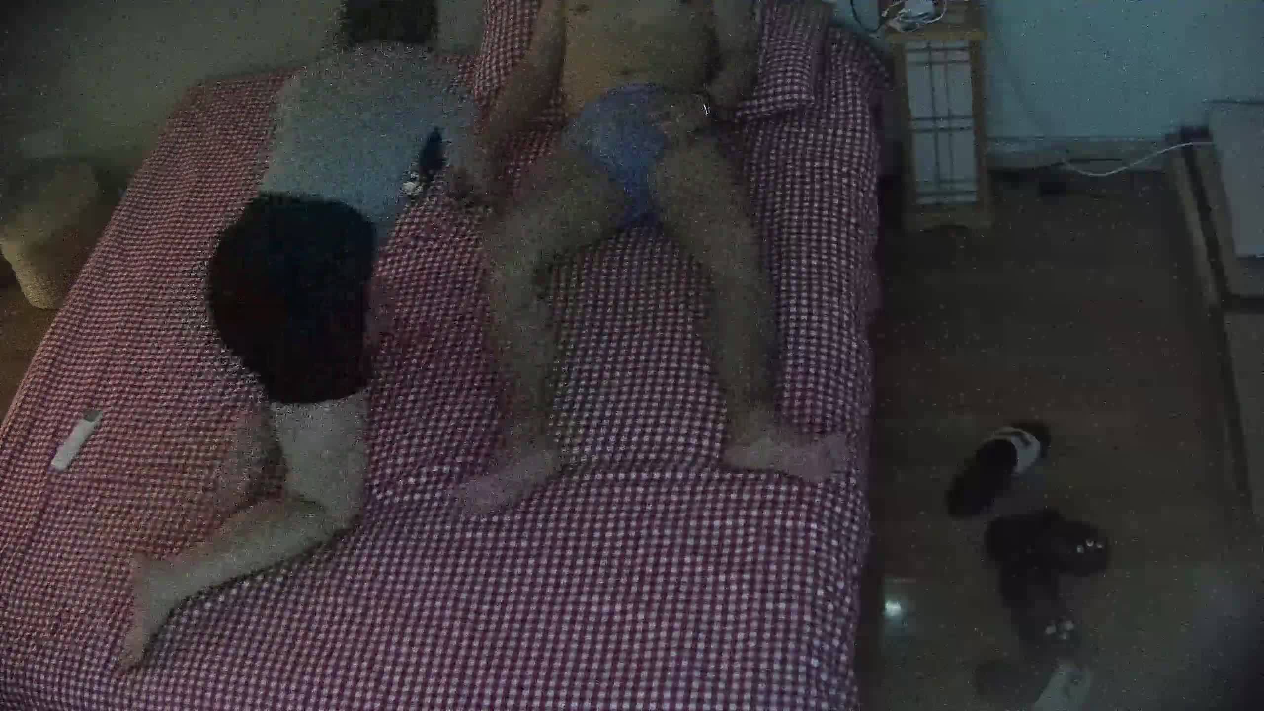 03.jpg