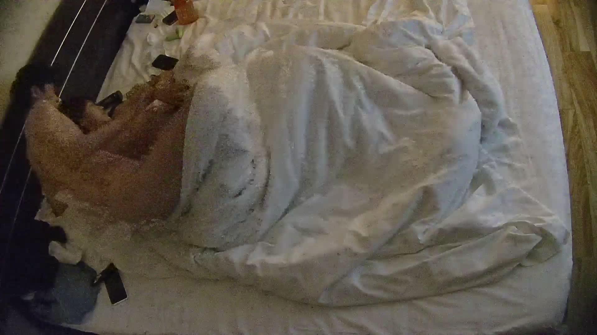 01.jpg