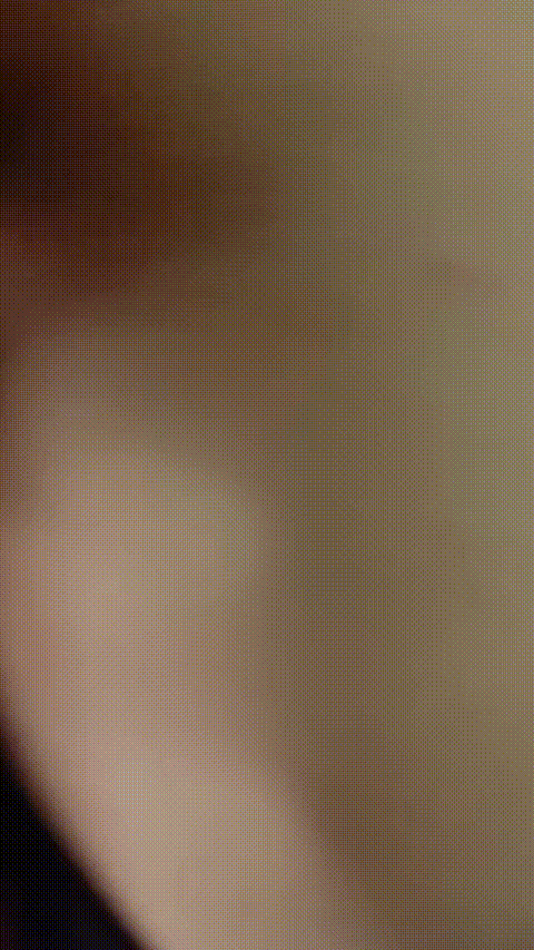 琪琪很爱玩_20260308_101002_p60_compressed.gif