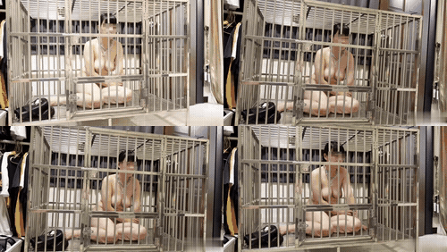 奴隶物语  小小Q 新奴兔兔篇 1  1-5_preview_3.gif
