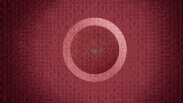 1 (4).gif