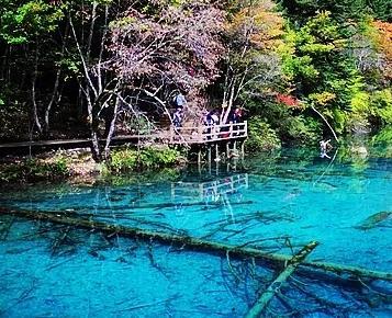风景.jpg