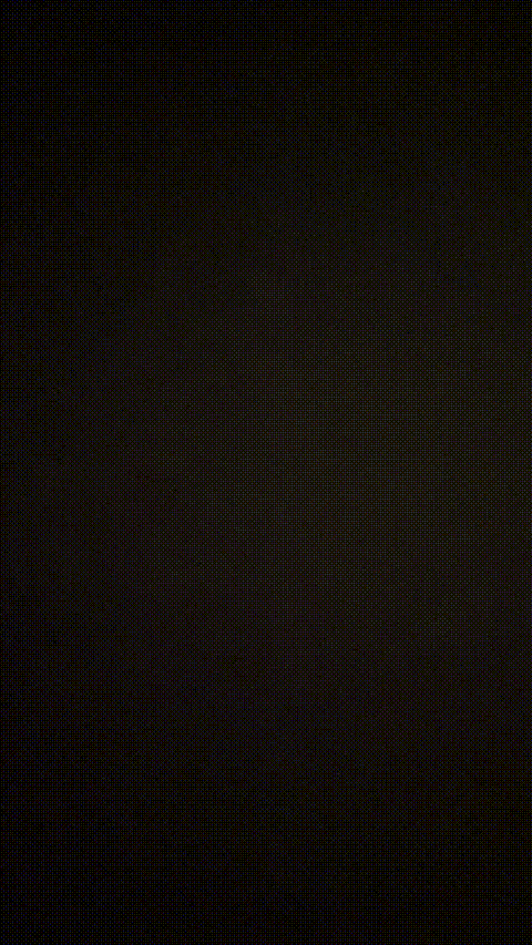 V (1)_p80.gif
