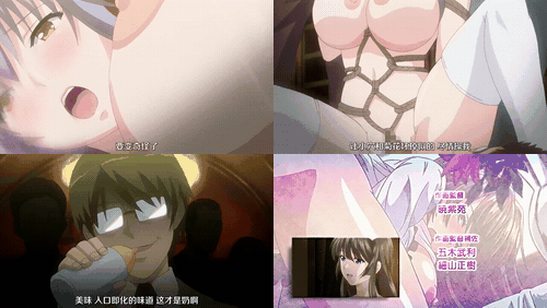 肉牝R30_～堕落于肉欲的雌性们～_preview_3.gif