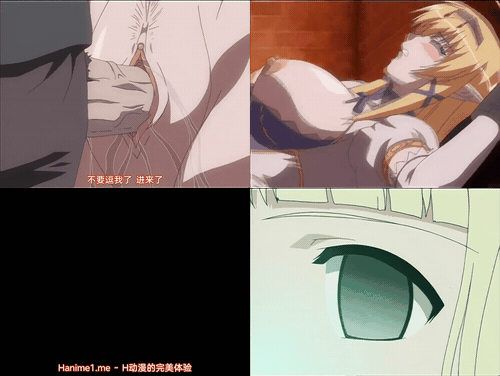 姬骑士安洁莉卡_1_preview_1.gif