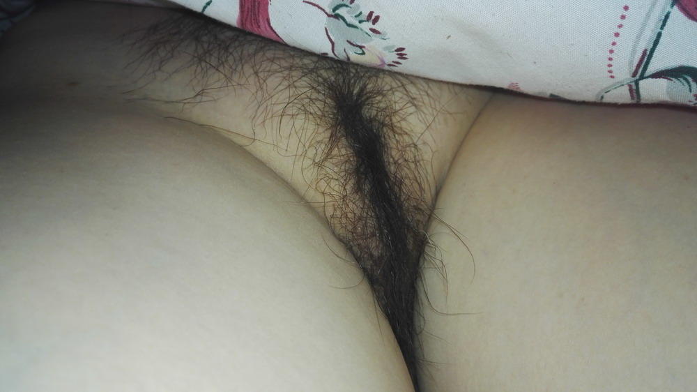 老婆第二季