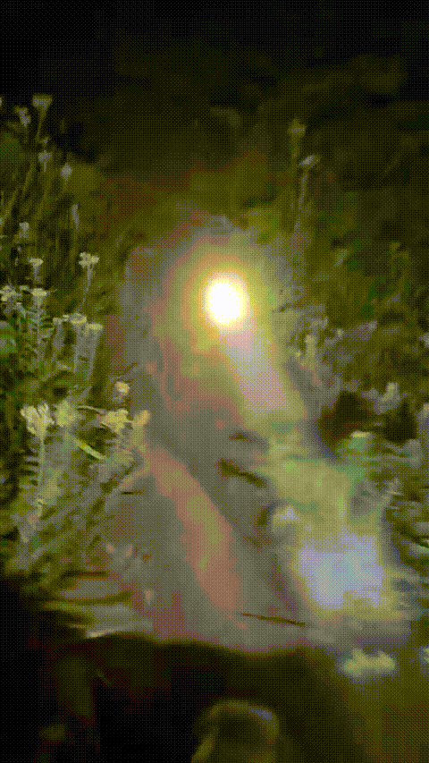 爱液随风起_农村大学生主播_户外喷水直播合集27部_25_p80_compressed.gif