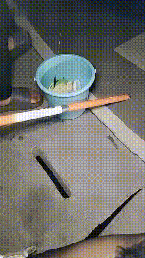 妙妙_20260217_190457_p20_compressed.gif