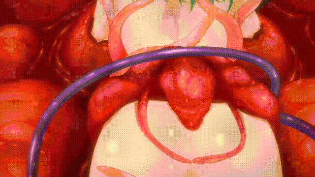 1 (2).gif
