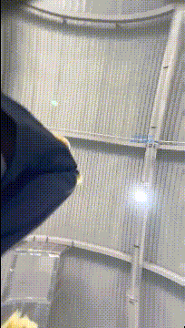 a1008.gif