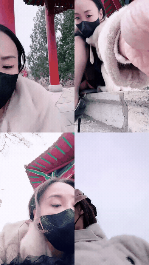 V (6)_preview_3.gif