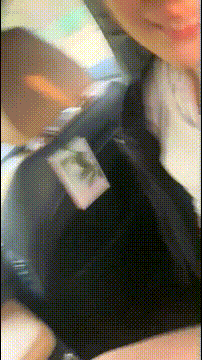 a2010.gif