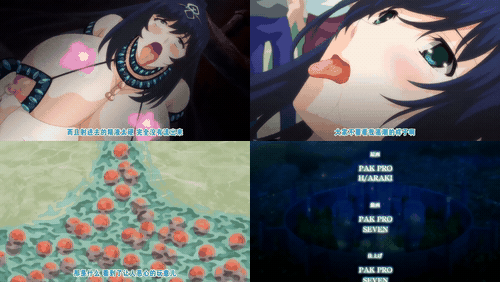 续・王女_女骑士W下流露出_2_preview_3.gif