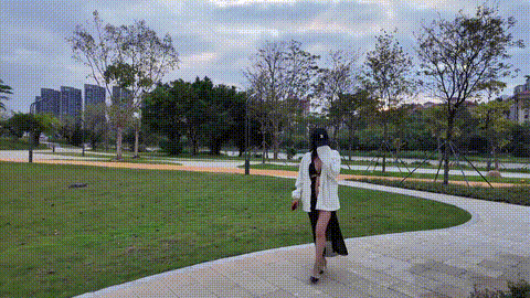 IMG_1102_p5.gif