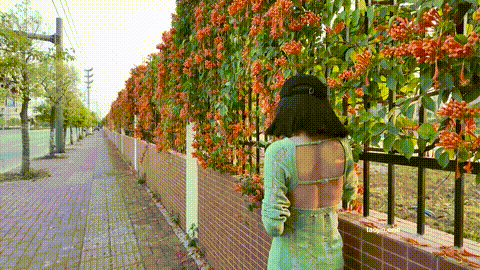 绿色毛衣逛街_p80.gif