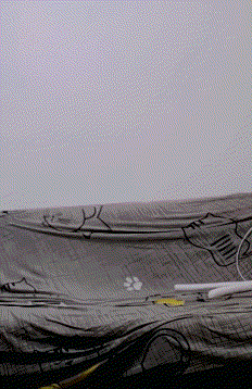 Video_20241008_070523_933.gif