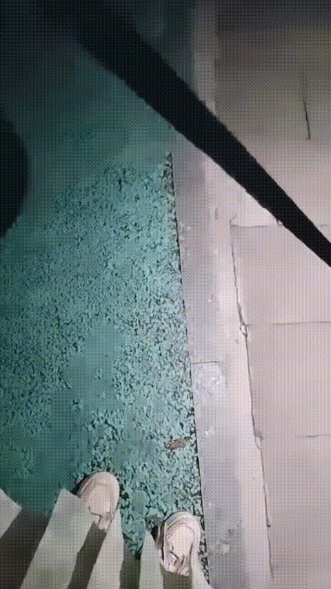妙妙_20260217_190457_p5_compressed.gif