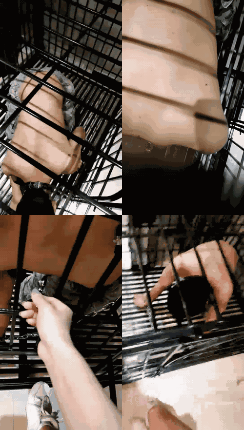1 (8)_preview_1_compressed.gif