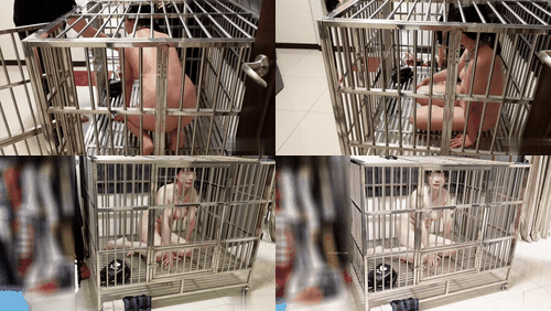 奴隶物语  小小Q 新奴兔兔篇 1  1-5_preview_1.gif