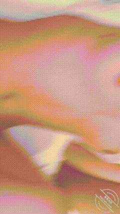 113616.gif