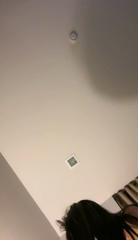 0 (8).gif