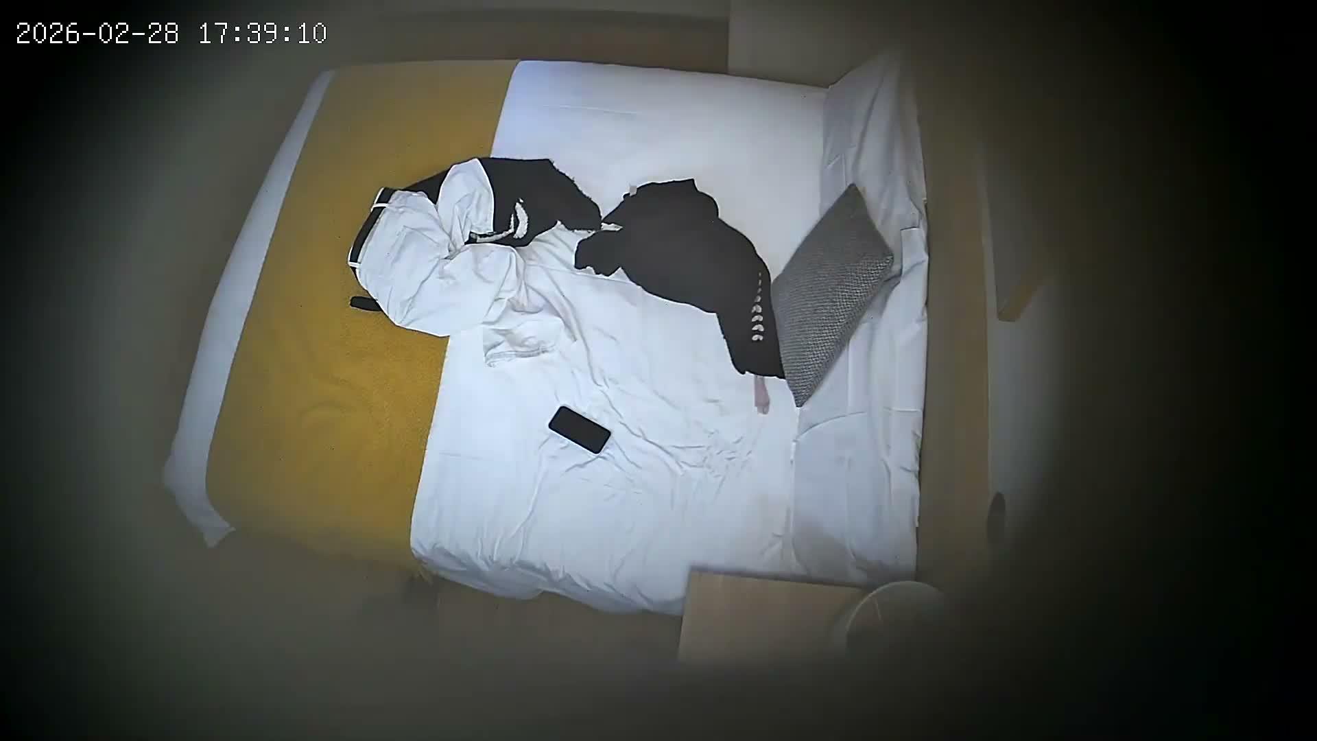 01.jpg