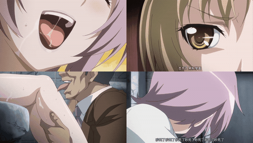 RIN×SEN＋Ran→Sem交叉混合2_preview_2.gif