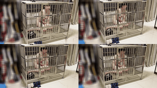 奴隶物语  小小Q 新奴兔兔篇 1  1-5_preview_2.gif
