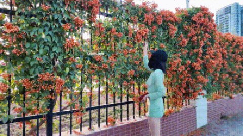 绿色毛衣逛街_p5.gif