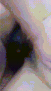 2 (7)_compressed.gif