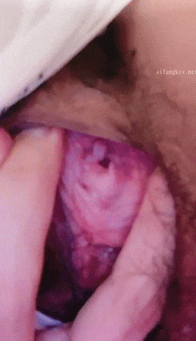 3 (4).gif